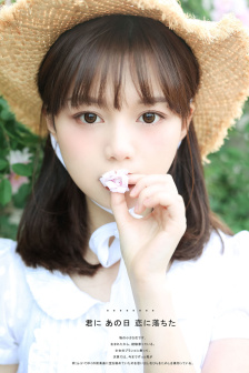 电视剧免费看全集后宫